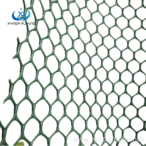 Plastic Mesh For Grass Protection